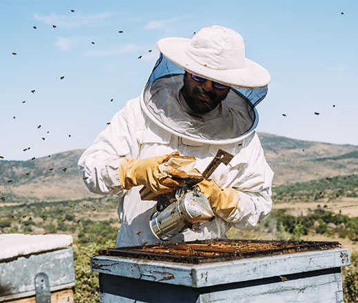 Beekeeping Veils