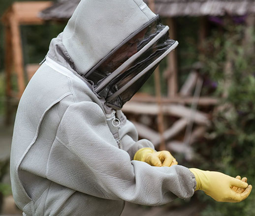 Beekeeping Gloves